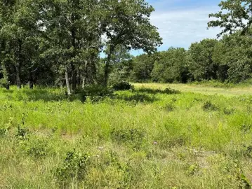 Perrin, TX: 5+ Acre Ranchette