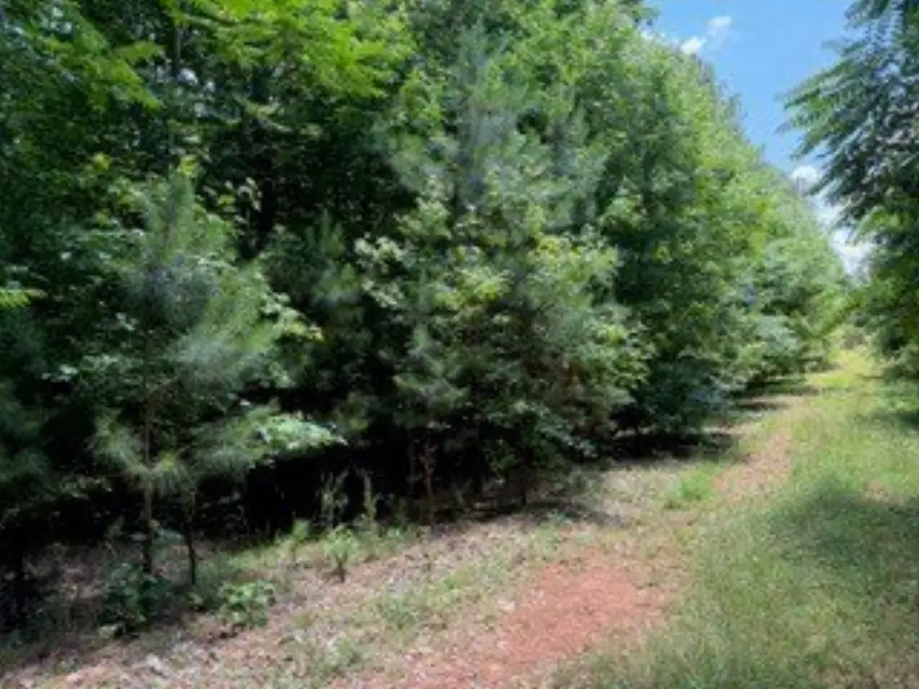 Picture 13