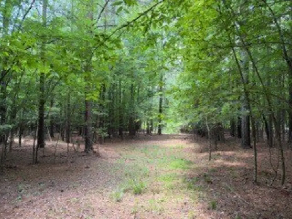 Picture 11