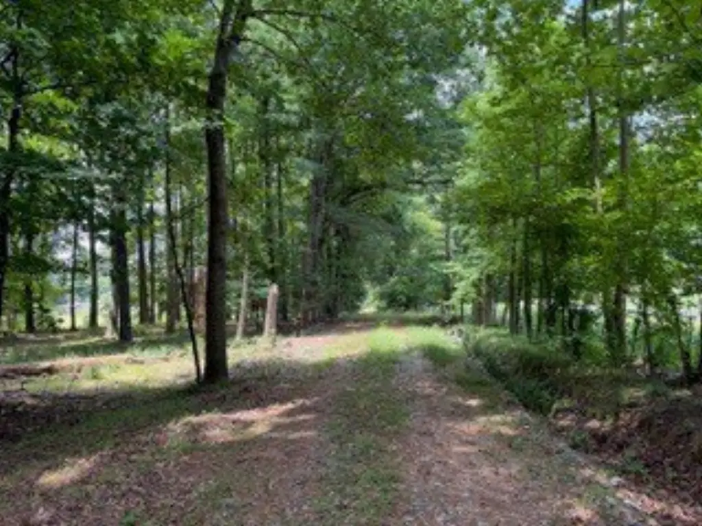 Picture 14