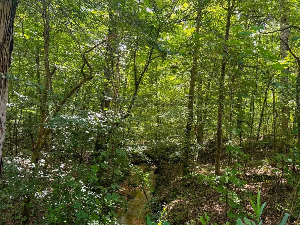 Picture 43