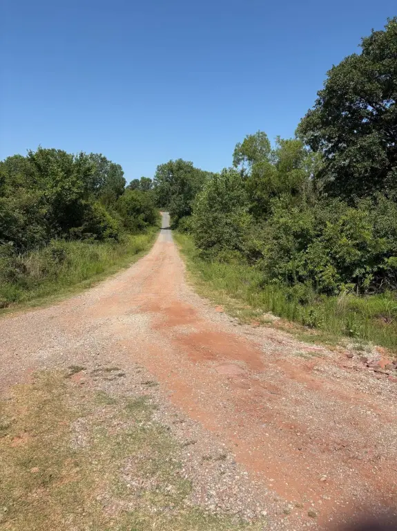 Picture 23