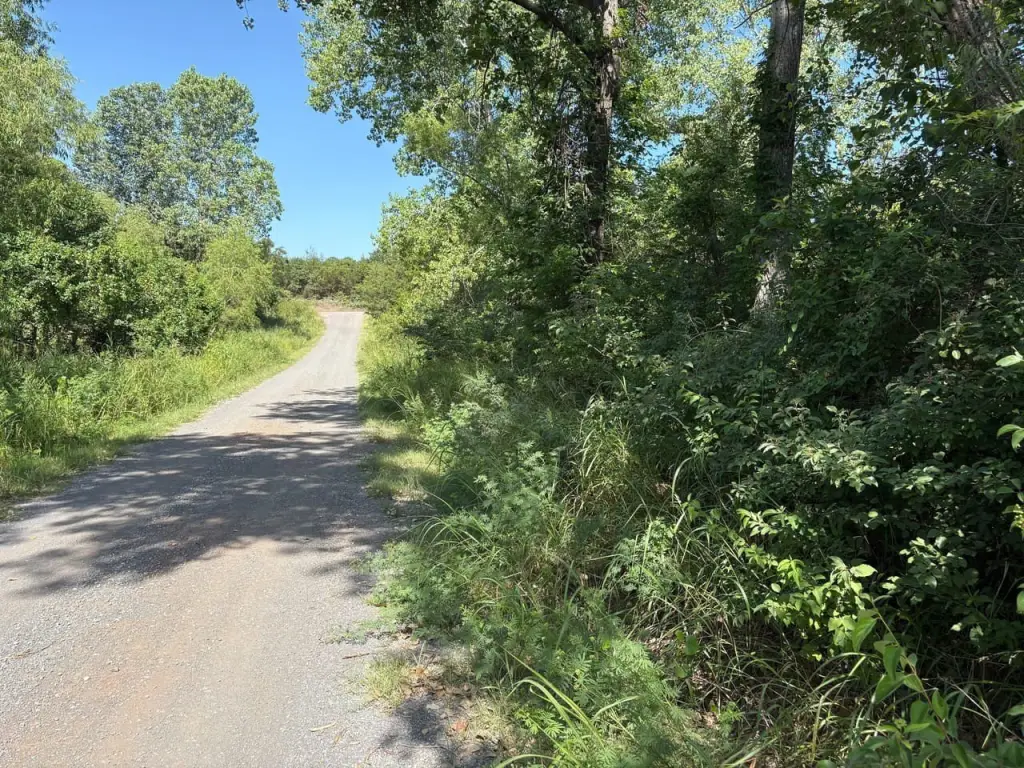 Picture 19