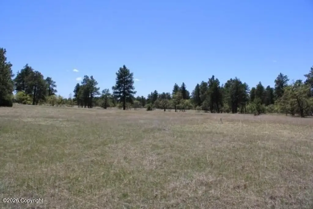 Picture 24