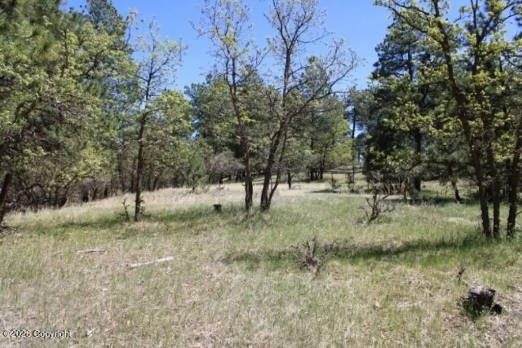 Picture 27