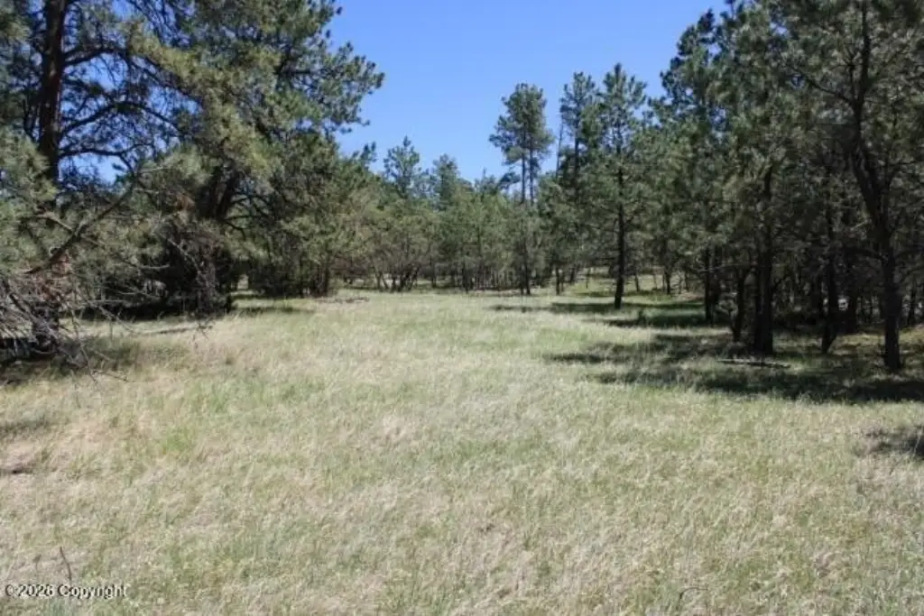 Picture 22