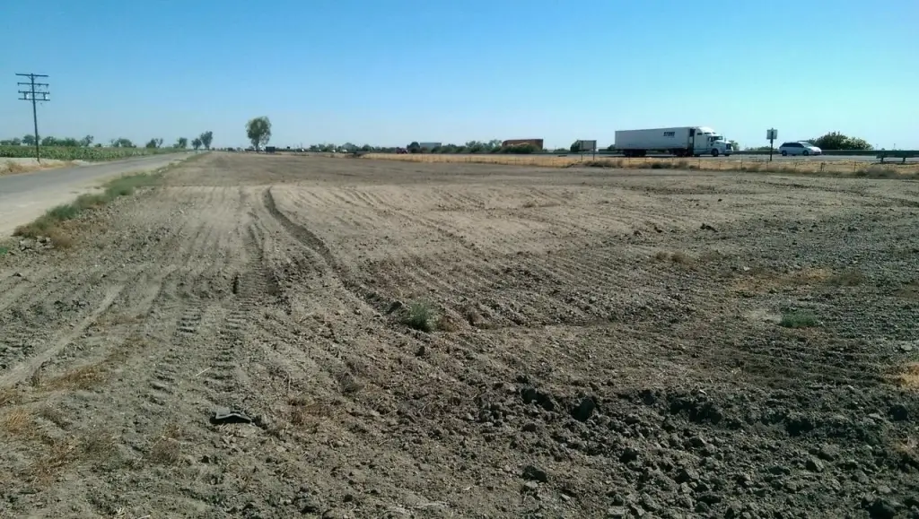 Picture 6