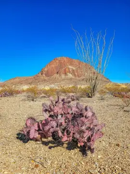 Terlingua Land with Highway Frontage