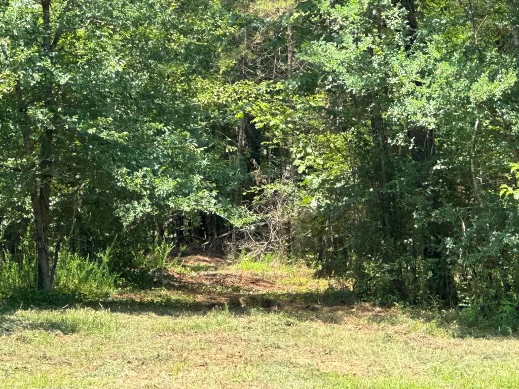 Picture 5