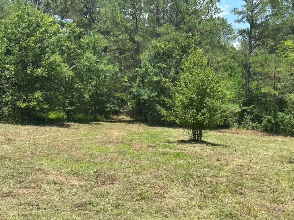 Picture 3