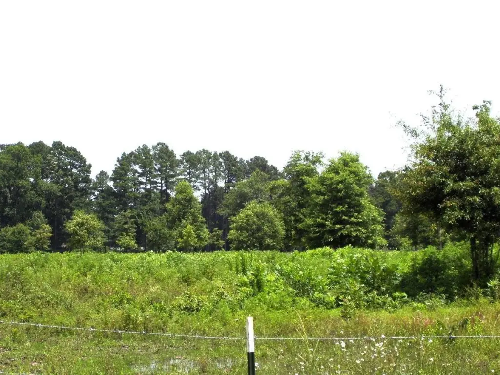 Picture 4