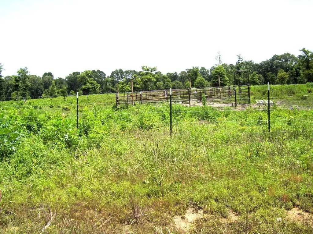Picture 9