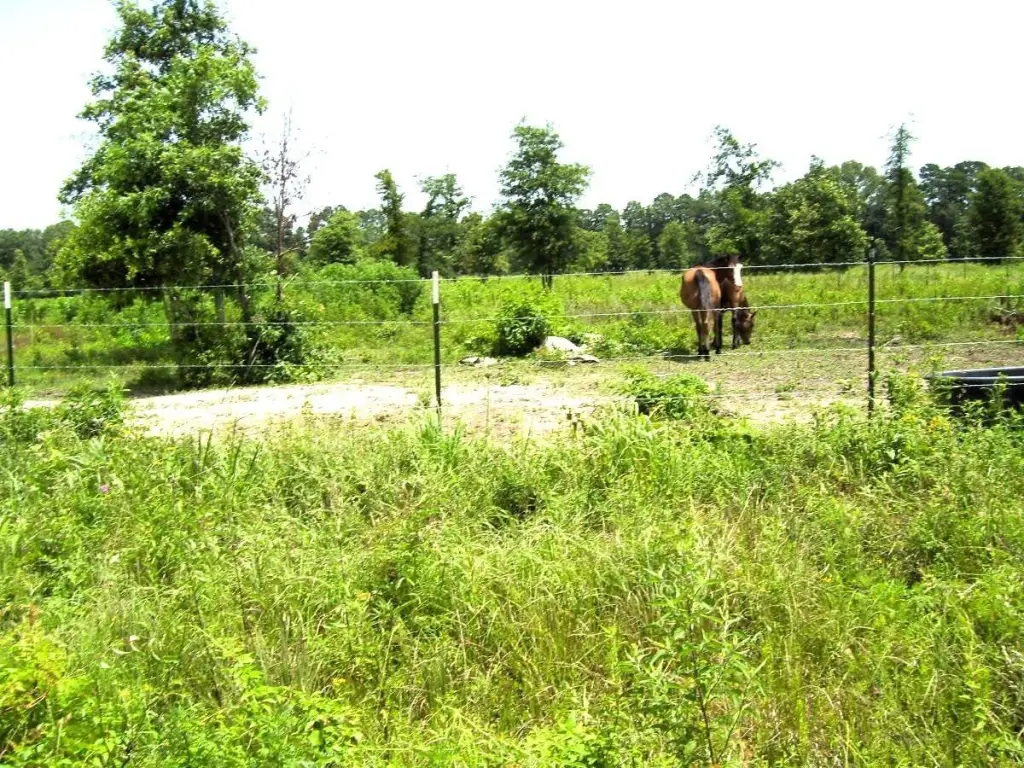 Picture 11