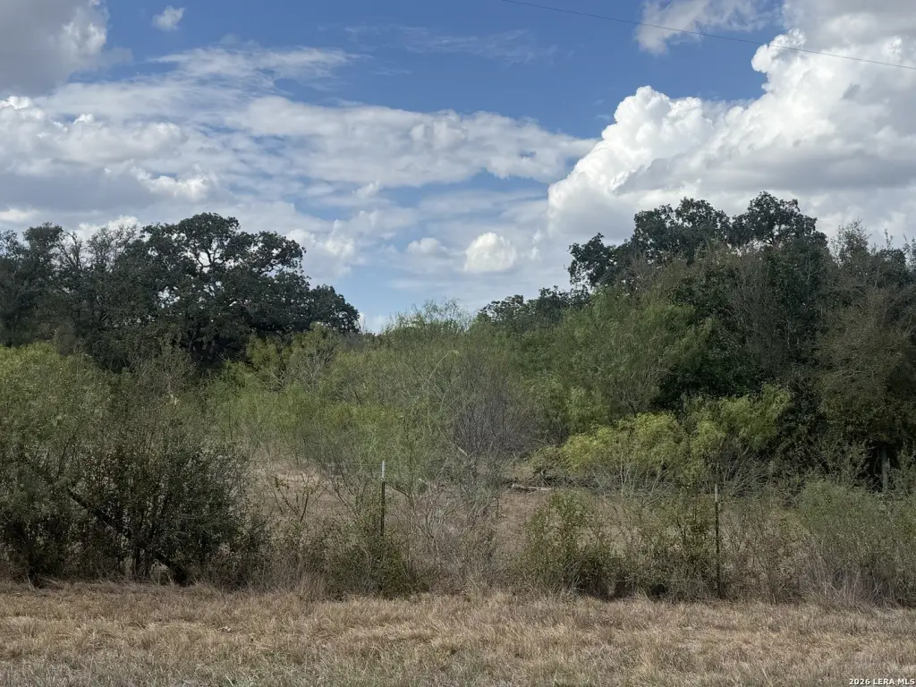Picture 2