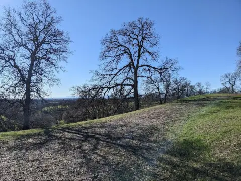 66 Acres in Rolling Hills