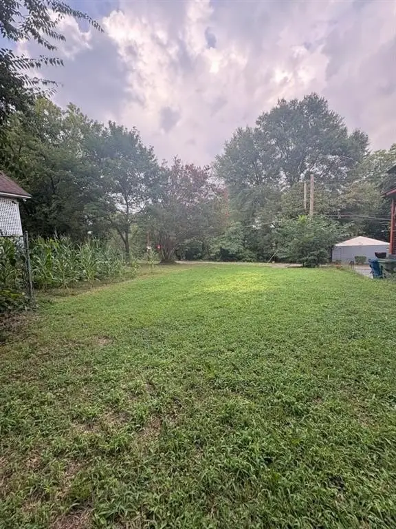 Picture 4