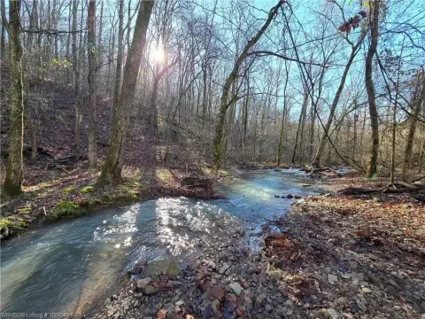 Wooded Land with Creek