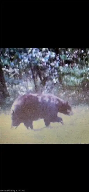 Picture 10