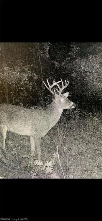 Picture 21