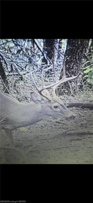 Picture 20