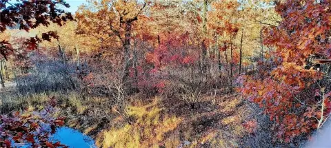 Secluded Ozark Hunting and Recreation Land