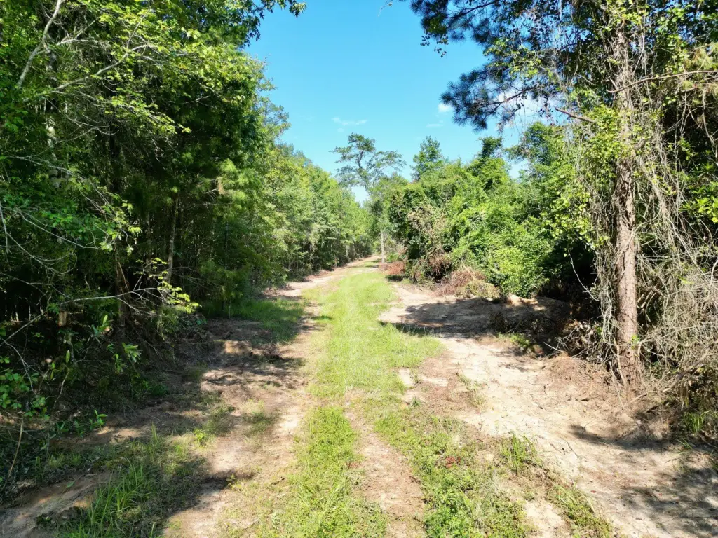 Picture 19