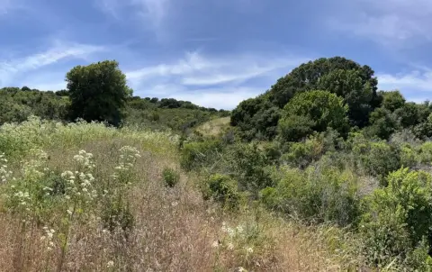 Richmond Land Ideal Horse Property