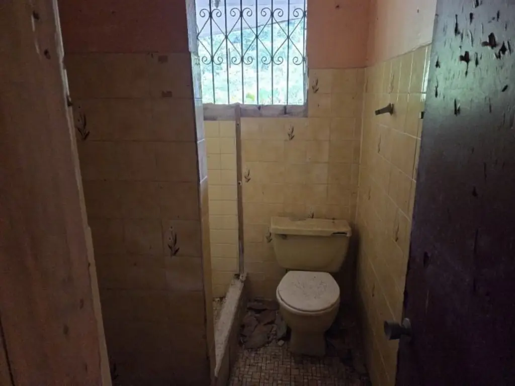 Picture 26