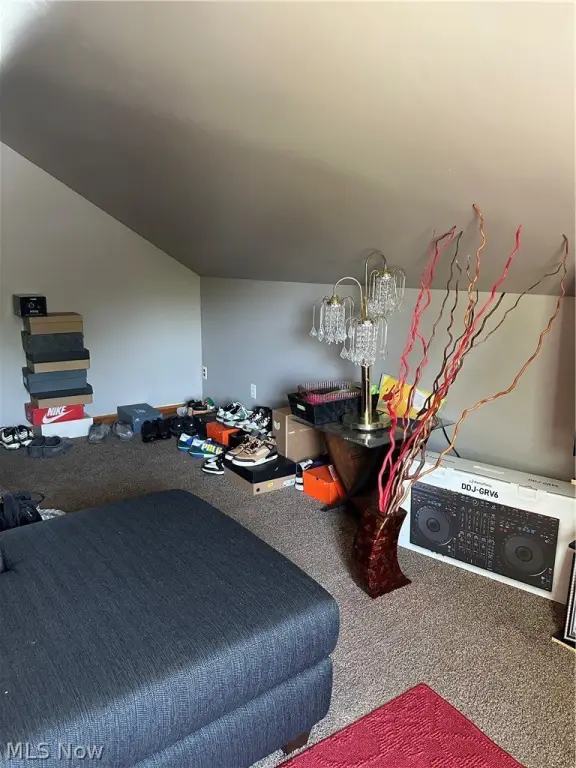 Picture 23