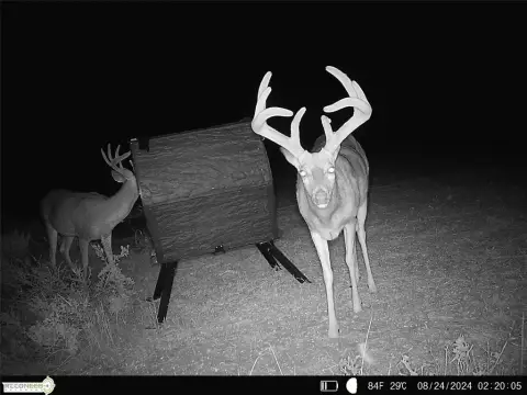 241 Acres Hunting and Grazing Land