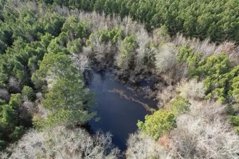 Timpson, TX Unimproved Recreational Land