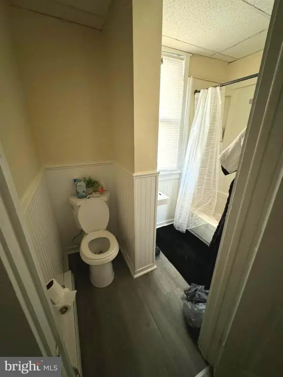 Picture 8