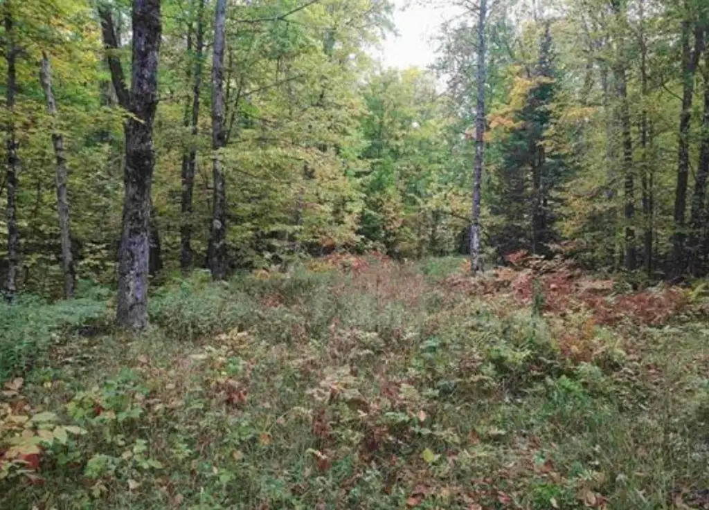 Picture 3
