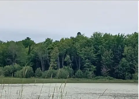 Lakefront 2-Acre Recreational Land