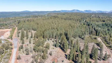 80 Acres of Timberland Opportunity