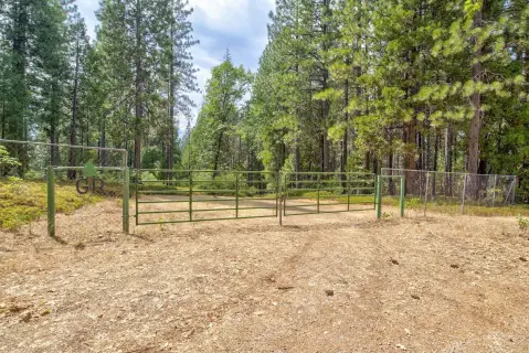 Forested Recreation Land
