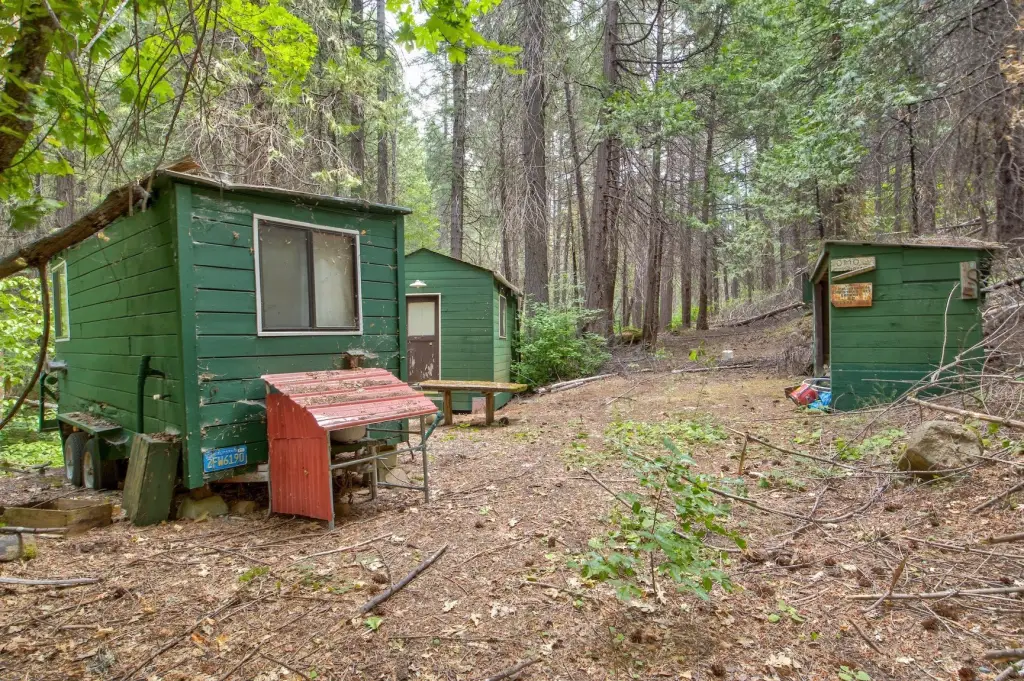Picture 27