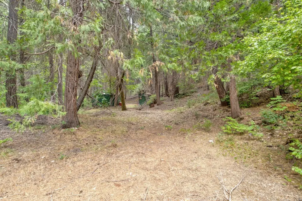 Picture 26