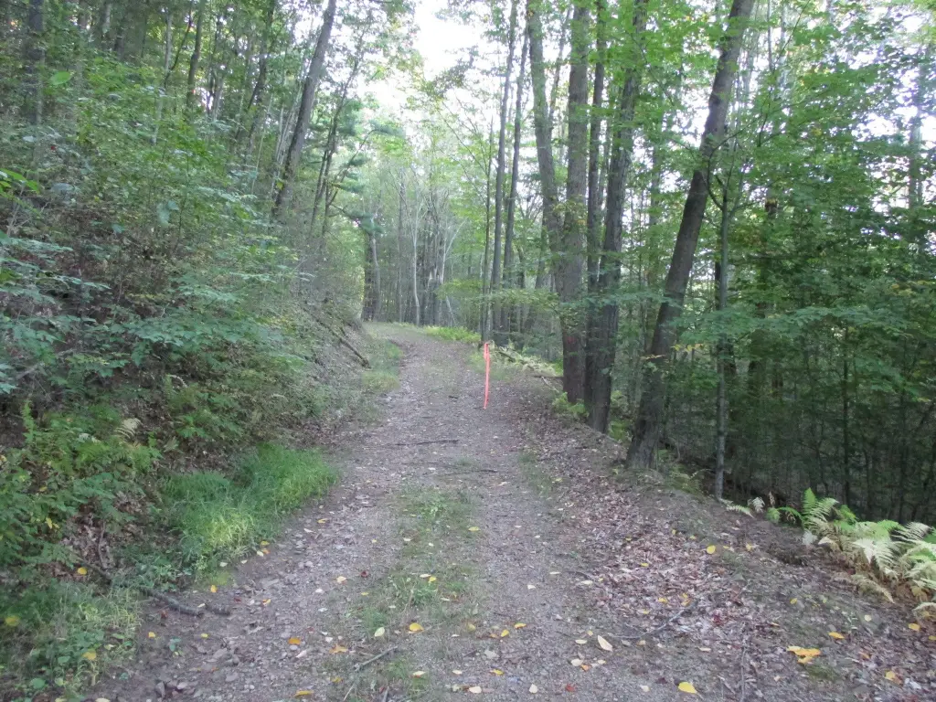 Picture 9
