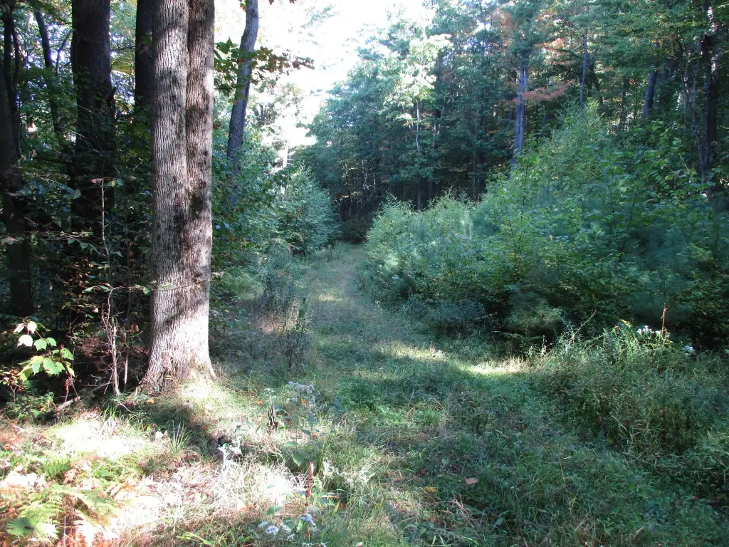 Picture 14
