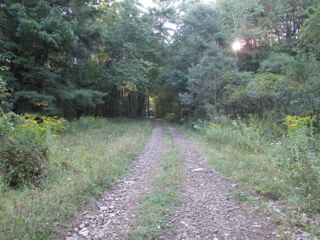 Picture 11