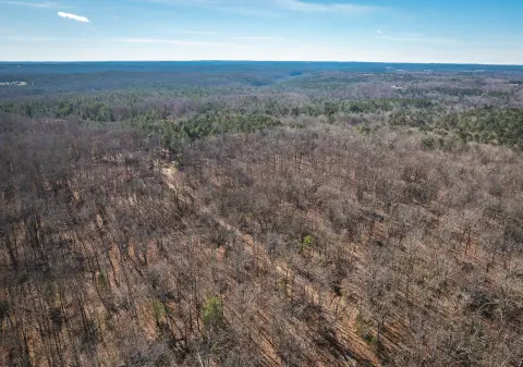 Secluded Wooded Retreat in Licking, MO