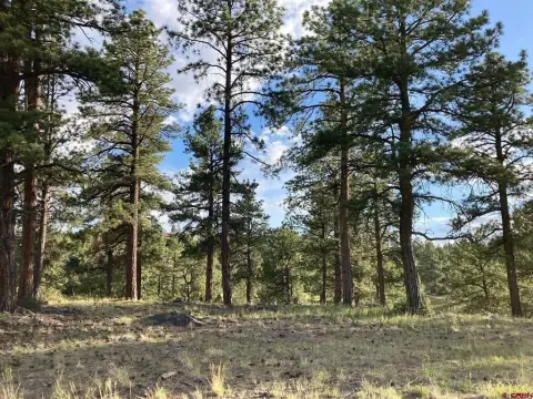 Ridgway Land with Mountain Views