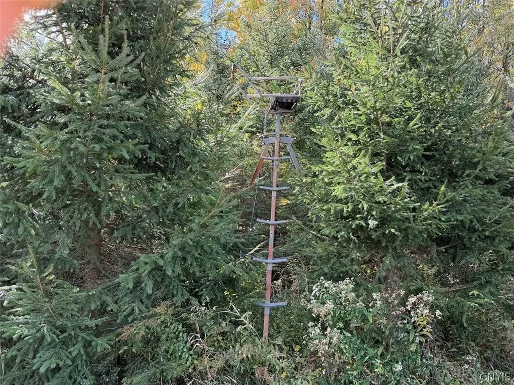 Picture 32