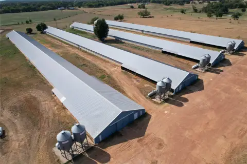 Broiler Farm with 4 Houses