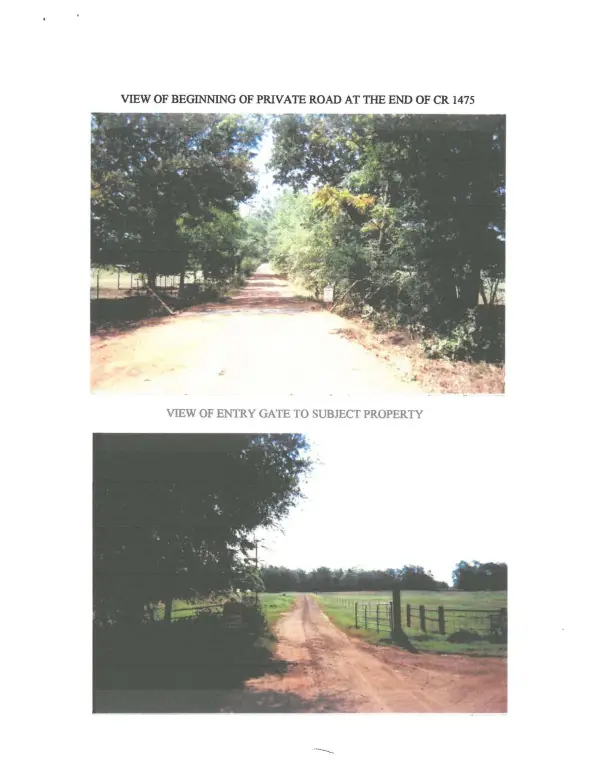 Picture 24