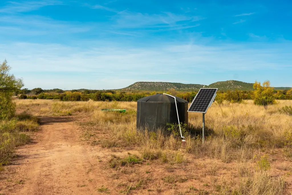 Picture 17