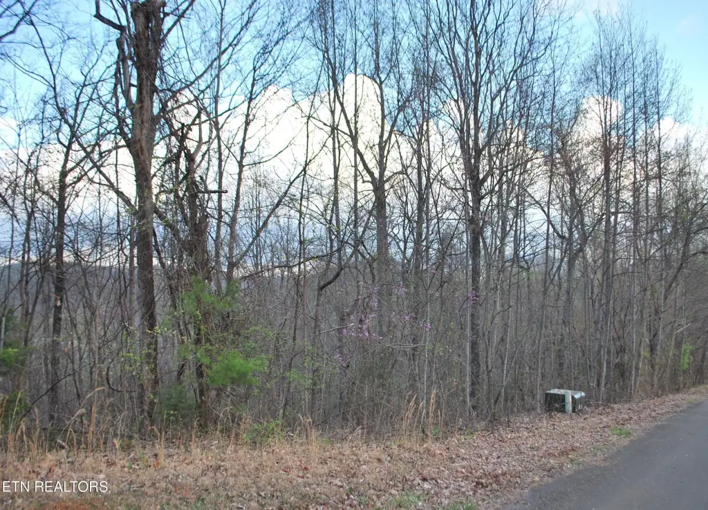 Picture 19