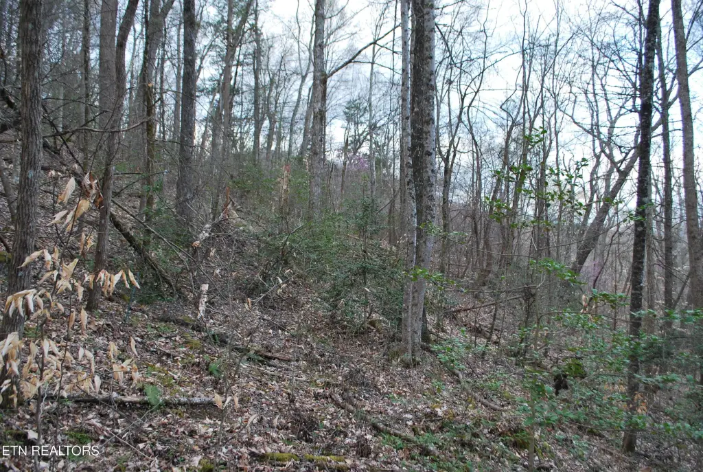 Picture 17