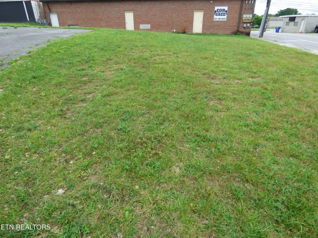 Picture 10